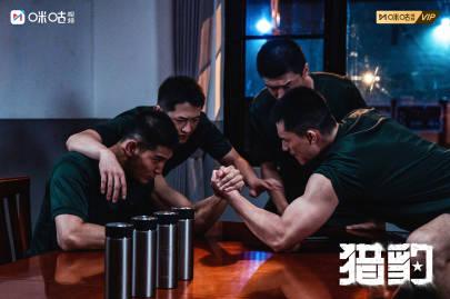 海外追剧党必看!3招教你解锁国内热门影视资源