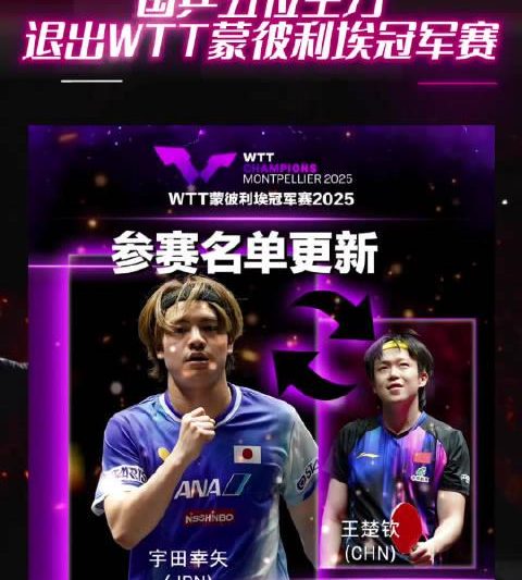 国乒主力为何集体缺席法国赛事？真实原因揭秘，密集赛程下的明智选择