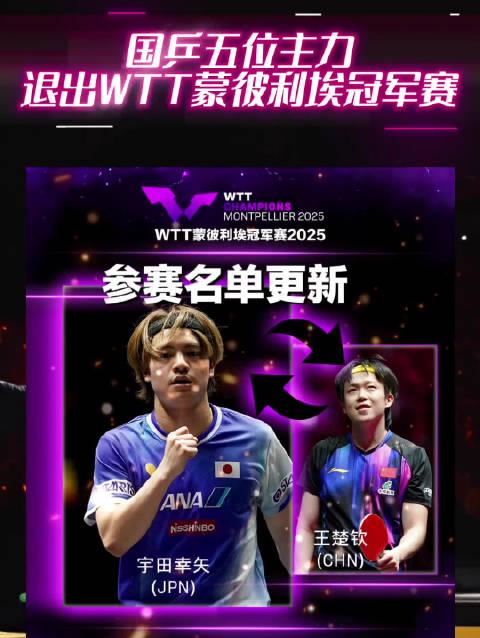 国乒主力为何集体缺席法国赛事?真实原因揭秘,密集赛程下的明智选择