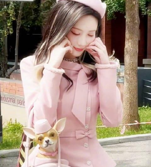 海外华人追剧烦恼全解析：从地区限制到播放卡顿的实用解决方案