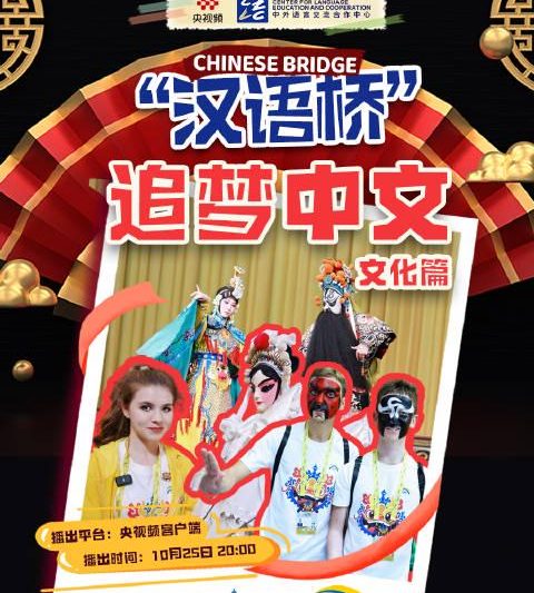 海外追《汉语桥》总卡顿？三招教你解锁央视频，告别地区限制！