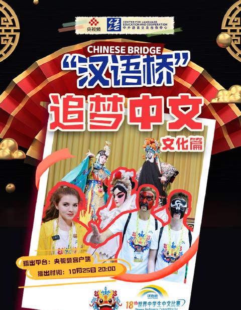 海外追《汉语桥》总卡顿?三招教你解锁央视频,告别地区限制!
