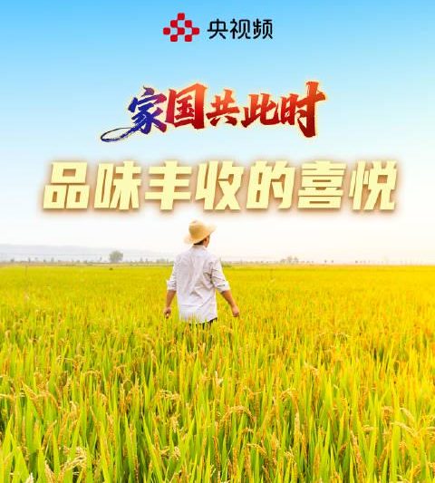 海外党看不了国庆特辑？这3招让你秒解地区限制，重温家乡烟火气