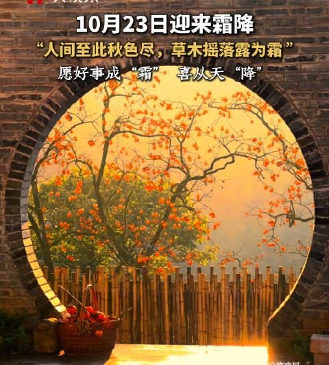 海外党看不了国内综艺？3招教你破解地域限制，追剧不再愁！