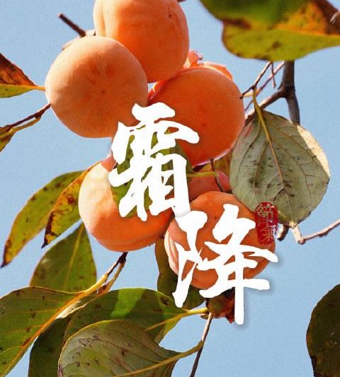 海外华人必看！4招教你解锁国内影视资源，再也不怕地区限制