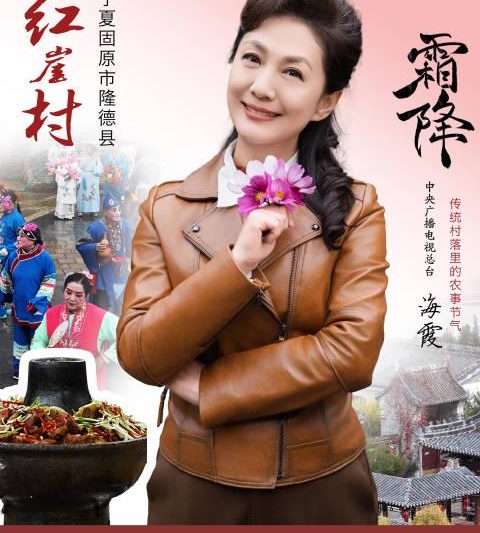 海外党看不了央视频？3招教你解锁国内热门综艺和纪录片