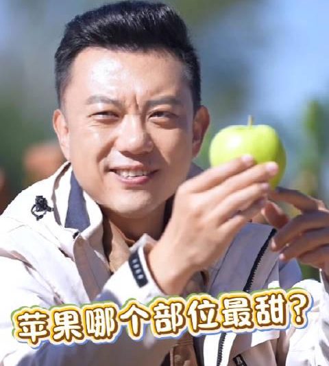 海外党看不了国内综艺？三招教你破解地域限制，轻松追更央视频