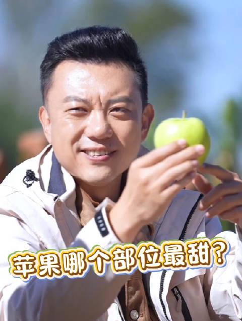 海外党看不了国内综艺?三招教你破解地域限制,轻松追更央视频