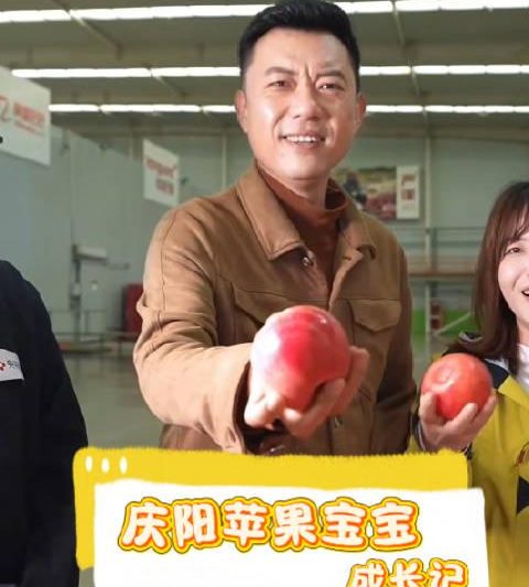 揭秘庆阳苹果的数智化成长之路：从实验室到餐桌的科技蜕变历程