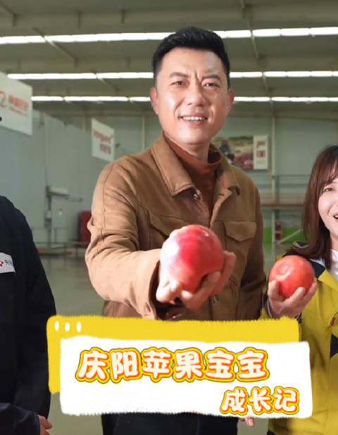 揭秘庆阳苹果的数智化成长之路:从实验室到餐桌的科技蜕变历程