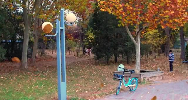 海外华人必看!三步教你解锁国内热门影视综艺,海外追剧不再愁