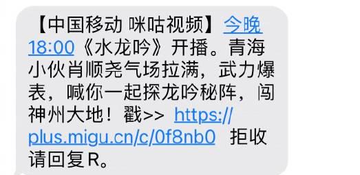 《水龙吟》今晚开播!海外华人追剧攻略大揭秘,错过等一年