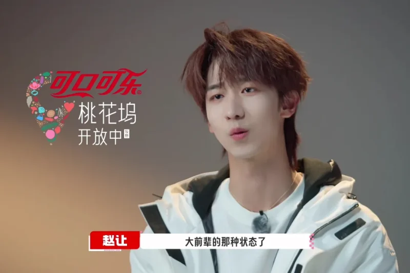 海外华人如何解除地区限制观看《桃花坞》等热门综艺？赵让六周年感动瞬间引发共鸣