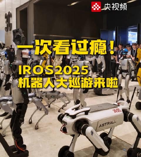 2025 IROS机器人大巡游惊艳全球!中国制造占据半壁江山,这些黑科技太震撼
