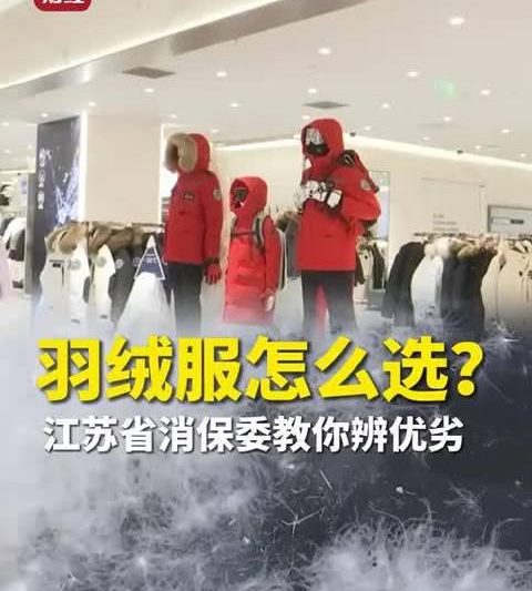 海外华人必看！选对羽绒服过冬不挨冻，这3个关键点一定要知道