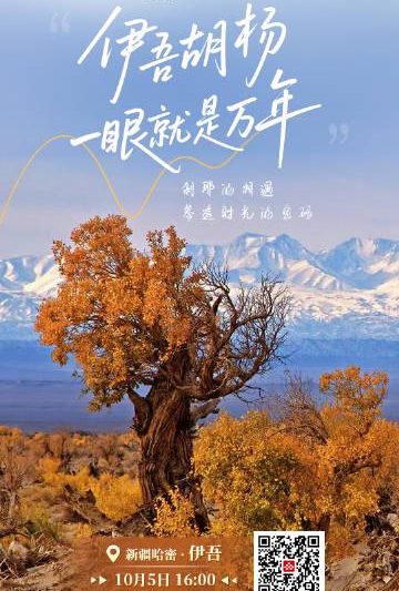 海外华人如何解锁新疆胡杨林直播？这份观看攻略请收好！