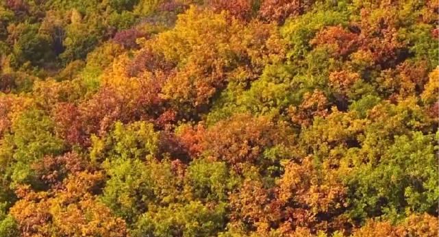 海外追剧党必看!2025最新实测解决国内视频卡顿地区限制难题