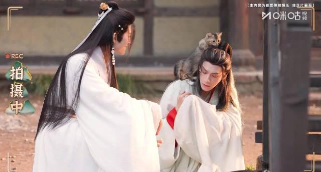 海外追剧不再愁!手把手教你突破地区限制,畅享《水龙吟》等热门国产剧