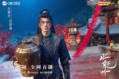 海外华人追剧指南:突破地区限制,畅享《水龙吟》等热门国产影视剧