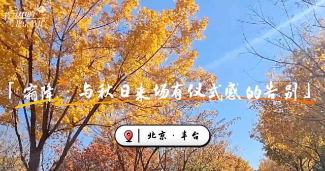 海外华人必看!三步教你解锁国内影视资源,告别“地区限制”烦恼