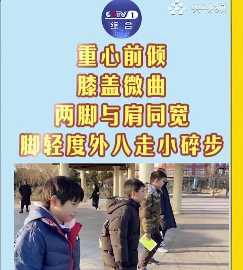 海外华人看剧遇阻？大雪天里学企鹅走路竟藏着防摔秘诀！