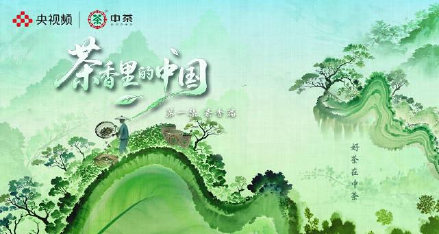 茶香四溢!乌龙茶醇厚VS茉莉花清雅,哪种香气最能唤醒你的中国记忆?