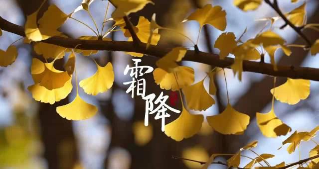 京津冀霜降美景惊艳全网！海外华人这样解锁国内秋色直播