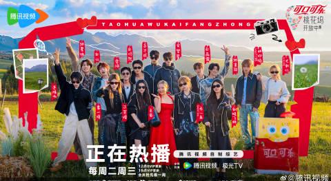 海外华人如何解除地区限制观看《桃花坞开放中》等热门综艺节目完整教程