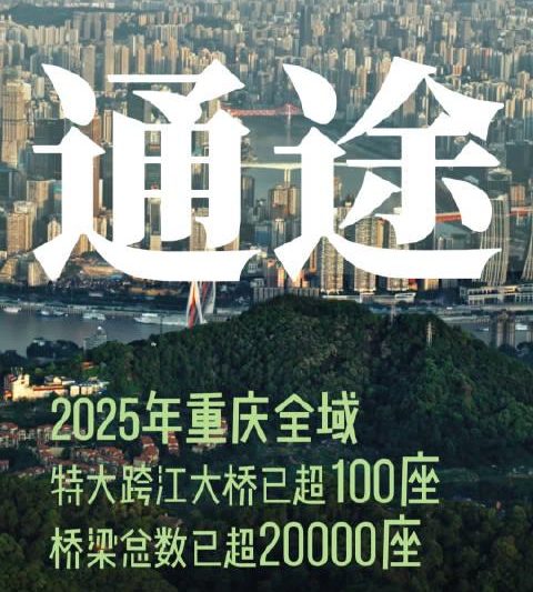 海外华人必看：突破地区限制，轻松解锁国内热门影视音乐综艺节目