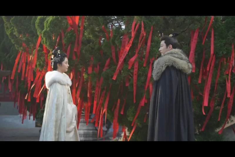 海外华人轻松解锁国内影视限制，畅享《兰香如故》等热门剧集