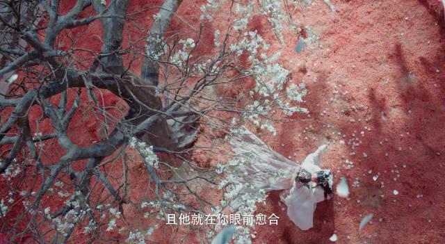 海外追剧党必看！3招教你解锁《水龙吟》等热播剧地区限制