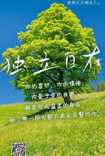 海外华人专属指南：如何轻松解除地区限制，不错过每一部热门剧集