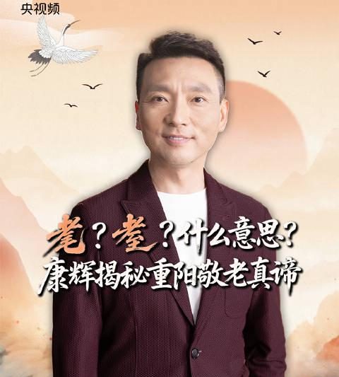 海外华人如何突破限制观看《康辉咬文嚼字》？3个实用技巧解决地区封锁