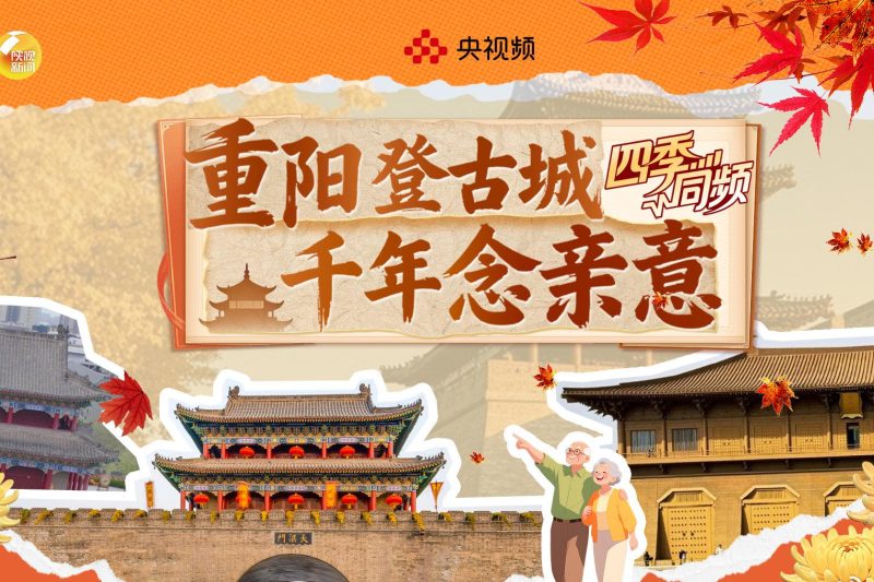 海外华人必看！3招解决国内视频平台地区限制，重阳直播不再错过