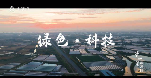 海外华人如何解除地区限制?3招教你轻松看遍国内热门影视综艺