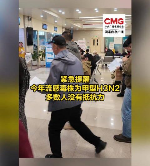 海外华人必看！2025年流感新毒株H3N2来袭，这些防护措施能帮你避开健康危机
