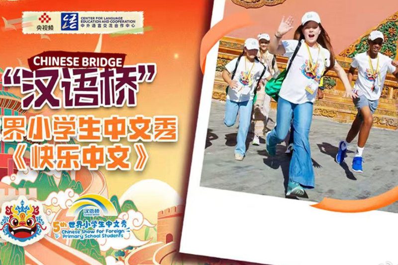 海外追《汉语桥》总卡顿？3招教你秒解地区限制，畅享中文魅力！