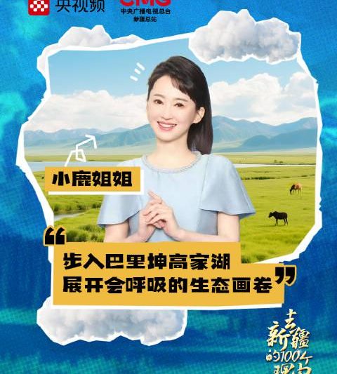 海外华人必看！4招教你轻松解锁国内影视资源限制