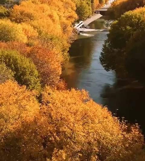 京津冀秋日旅行全攻略：运河金叶古韵山林，三大惊喜等你解锁