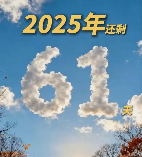 海外党必看！3招破解地区限制，告别追剧卡顿烦恼