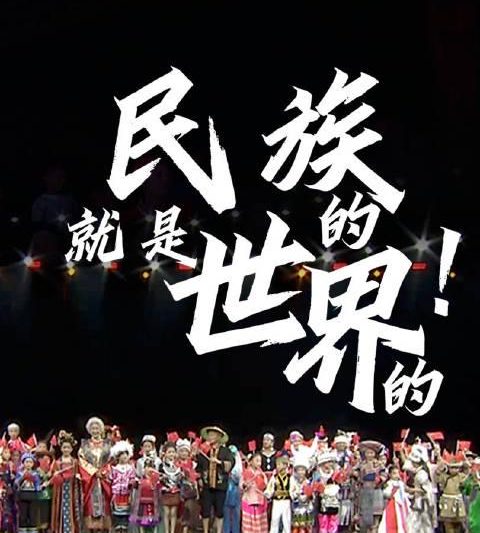 海外党福音：3招教你解锁国内热门综艺，贵州村T国际舞台惊艳全场！