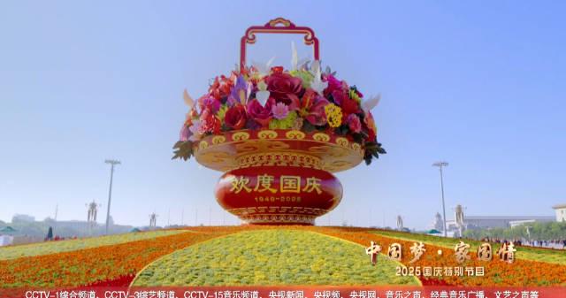 海外党看不了央视国庆晚会？3招教你破解地域限制，同步感受家国情怀！