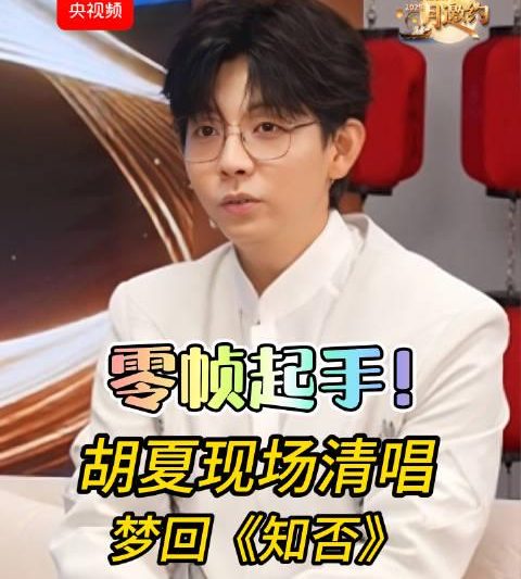 海外华人追剧听歌遇阻？这些方法帮你破解地区限制轻松看胡夏清唱