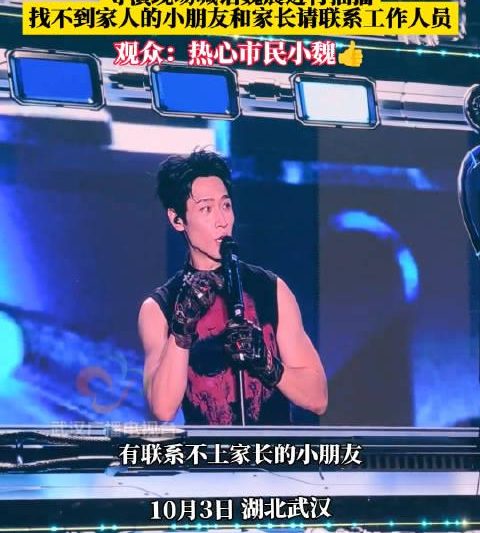 海外华人追剧听歌遇阻？武汉音乐节暖心一幕揭示内容限制破解之道