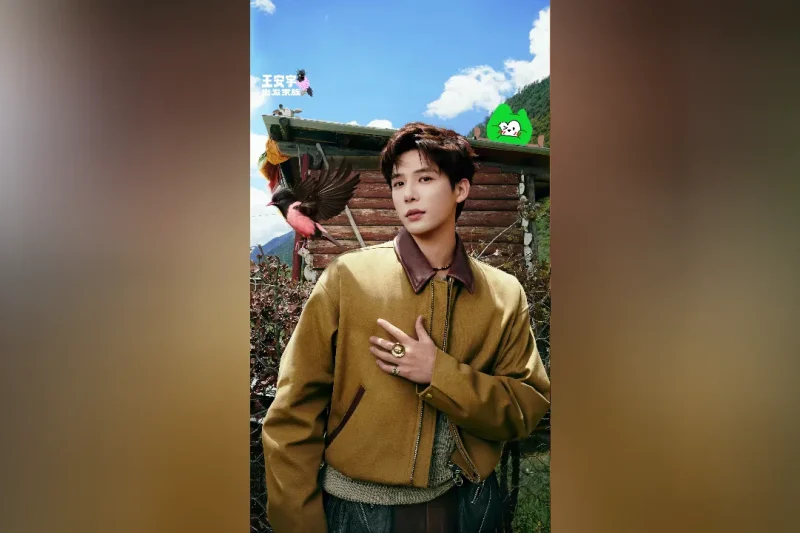 海外华人轻松解除地区限制，畅享国内热门影视综艺节目