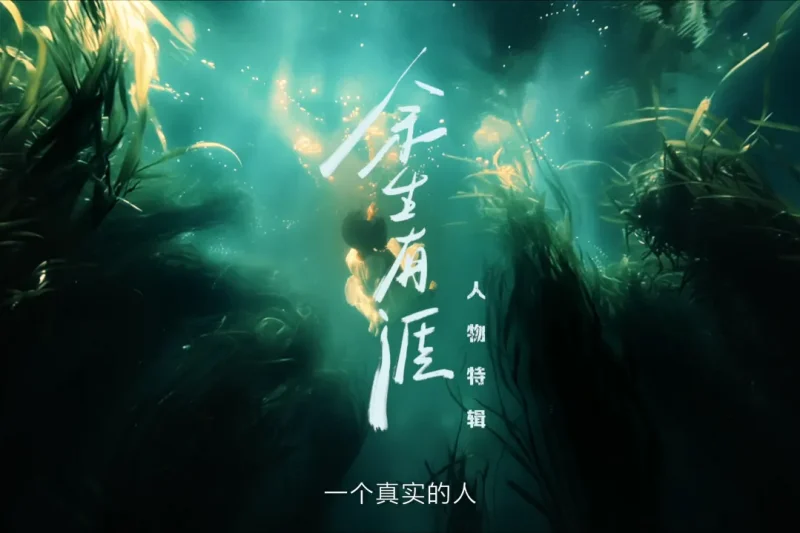 海外华人必看：轻松解除大陆影音限制，畅享《余生有涯》等热门剧集