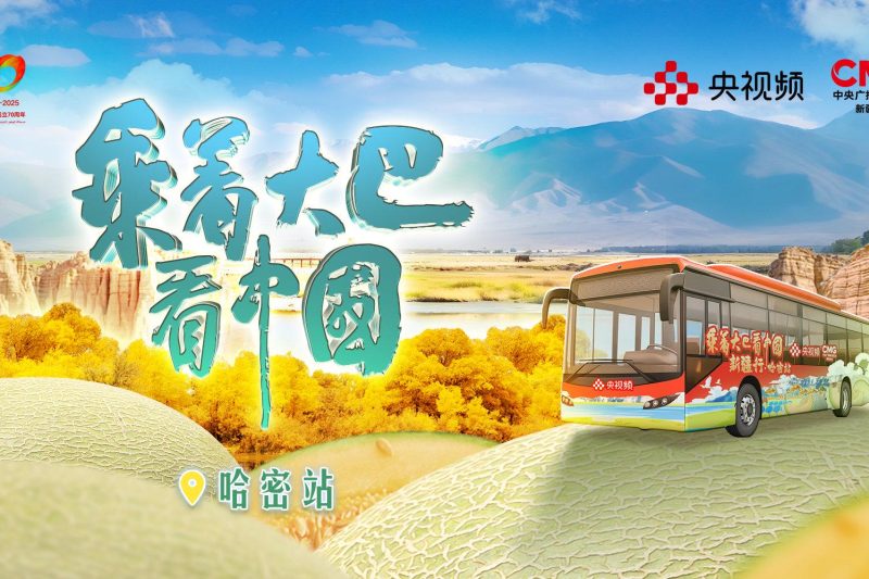海外党福音：3招破解地区限制，轻松追看《乘着大巴看中国》新疆篇！