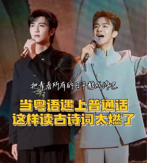 海外华人如何解锁《望岳》双语版？3招教你突破地域限制，畅享文化盛宴