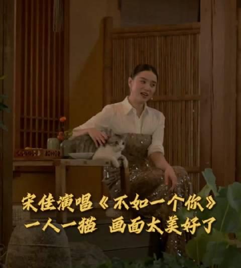 海外华人如何突破地区限制？宋佳中秋晚会惊艳演出背后的版权困境