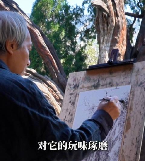 海外华人看不了央视频？3个方法轻松解锁《汉柏美学》等国内独家内容
